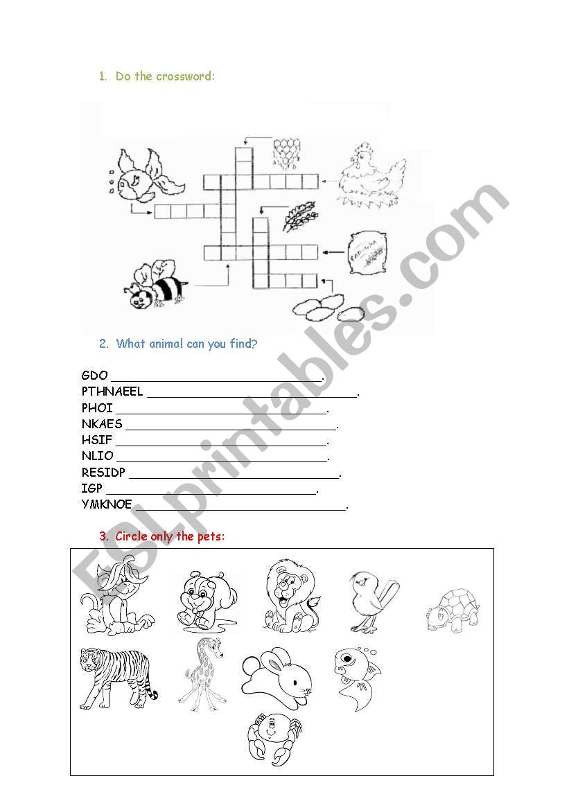 Animals worksheet