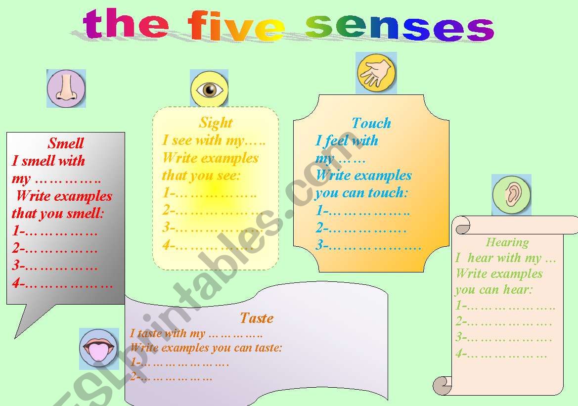 my five senses worksheet