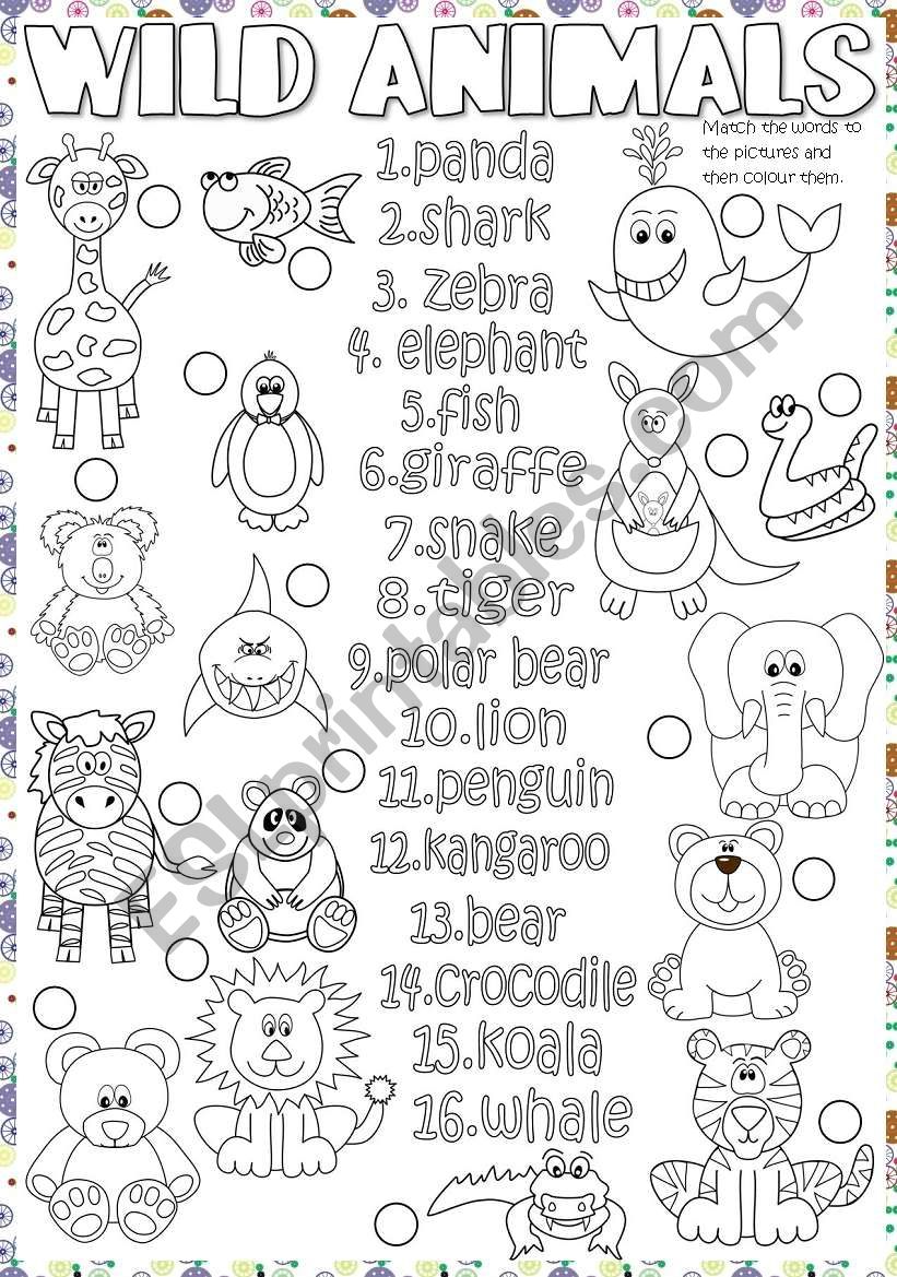 Wild animals worksheet