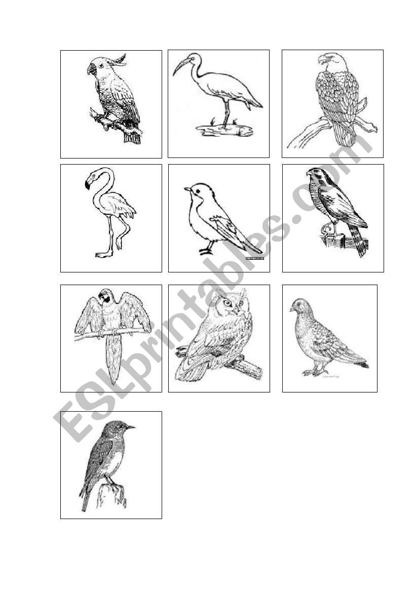 Birds memory game cards worksheet