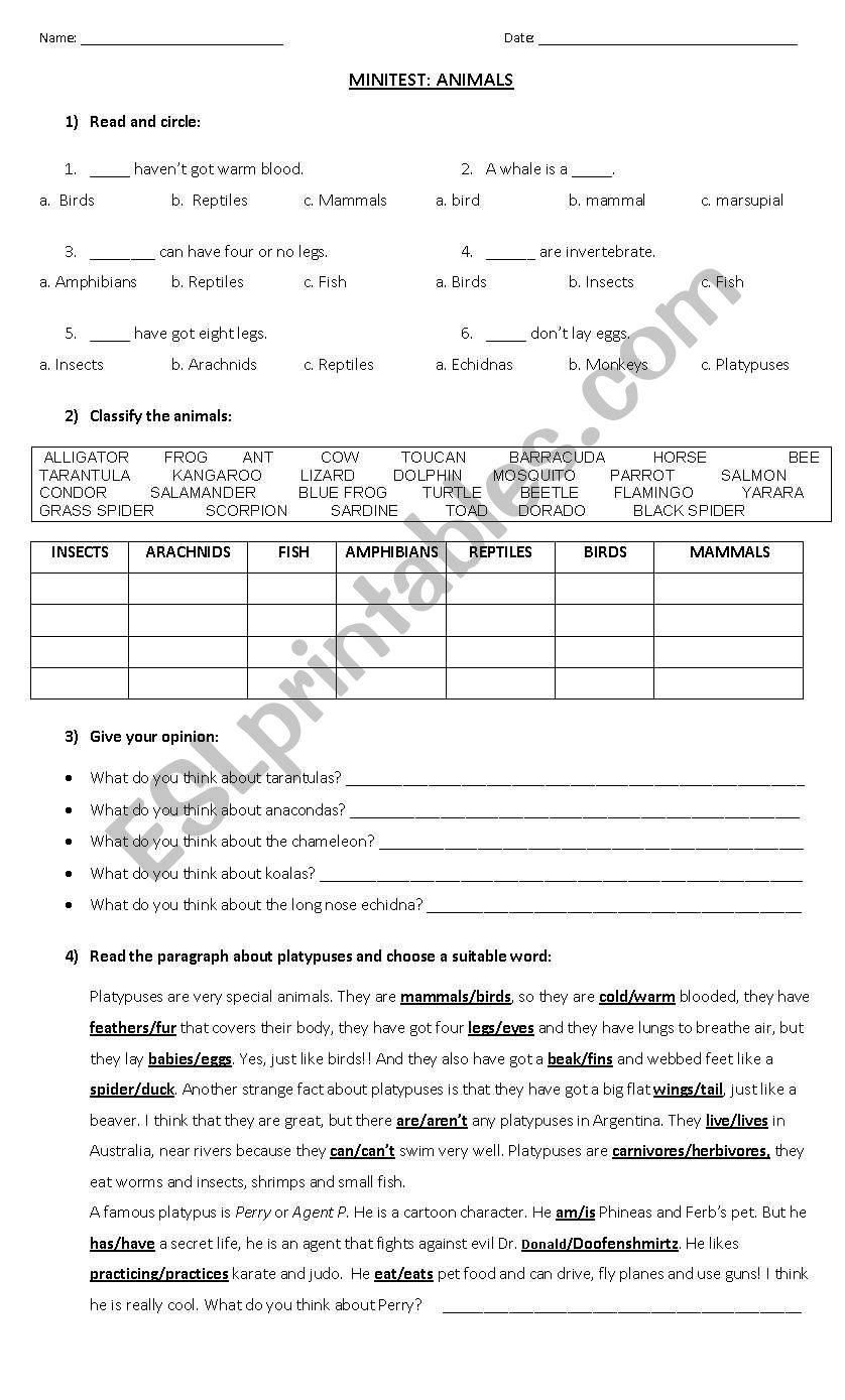 test: animal classification worksheet