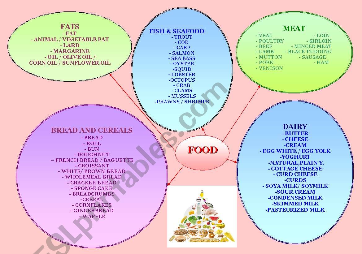 FOOD MIND MAP worksheet