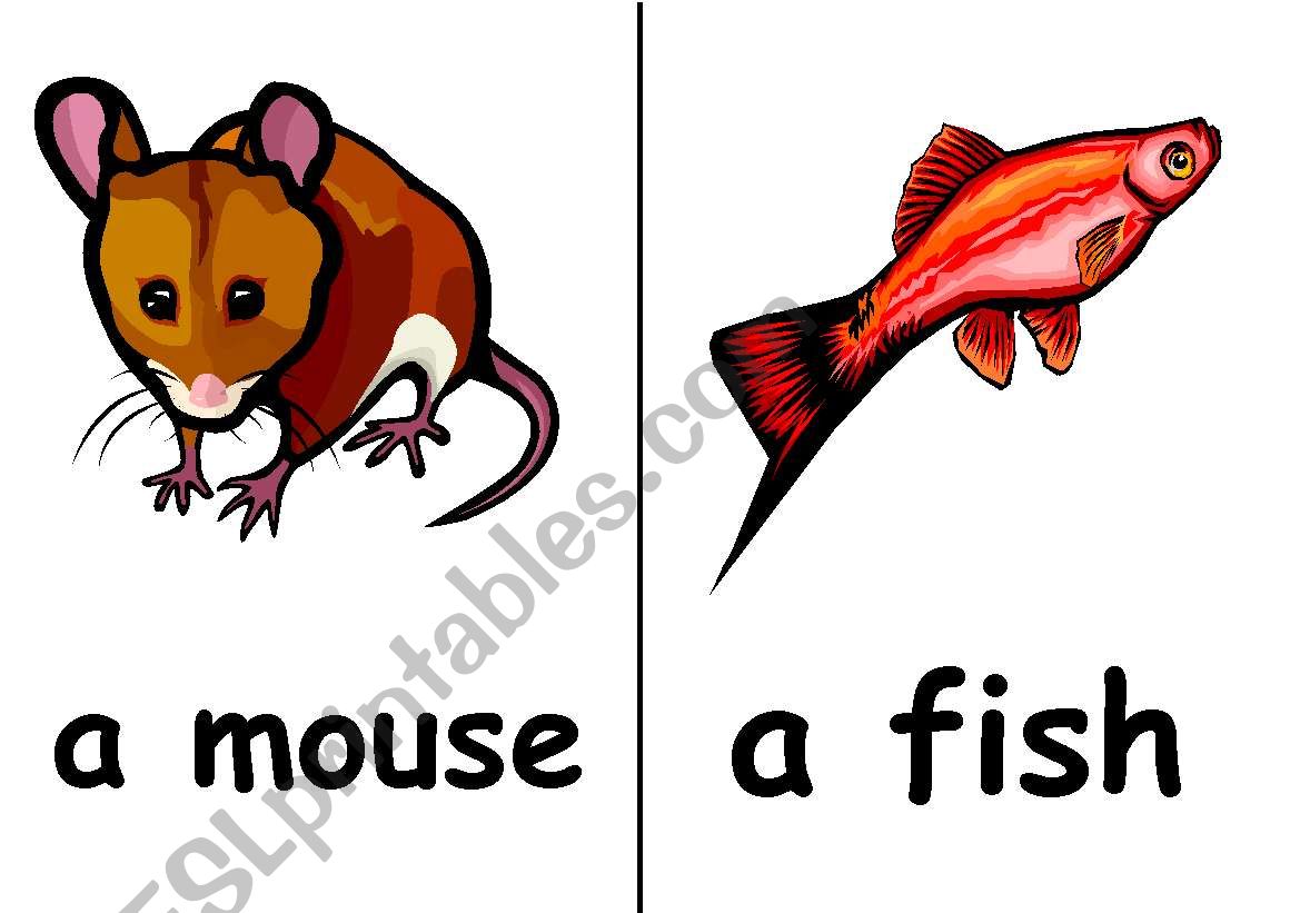 animals for flashcards worksheet