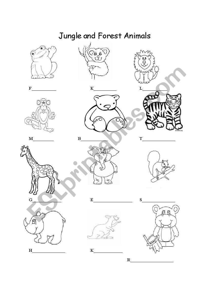 Jungle and Forest Animals worksheet