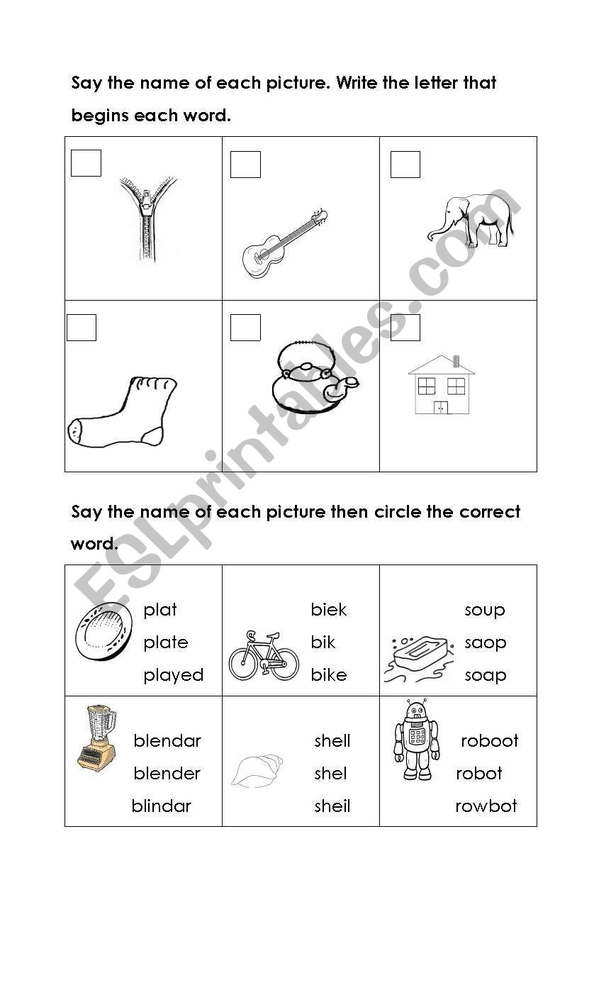 Spelling worksheet worksheet
