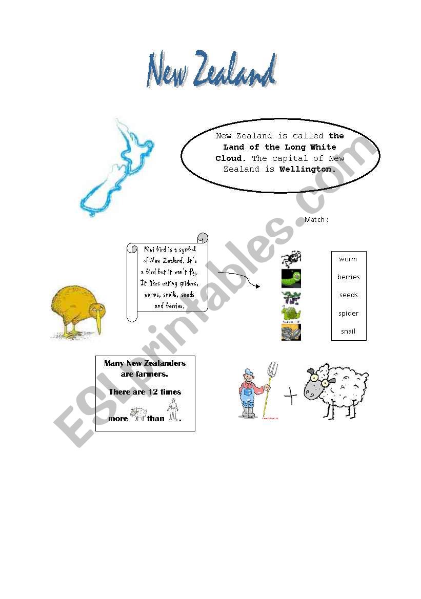 New zealand&Maoris for kids worksheet