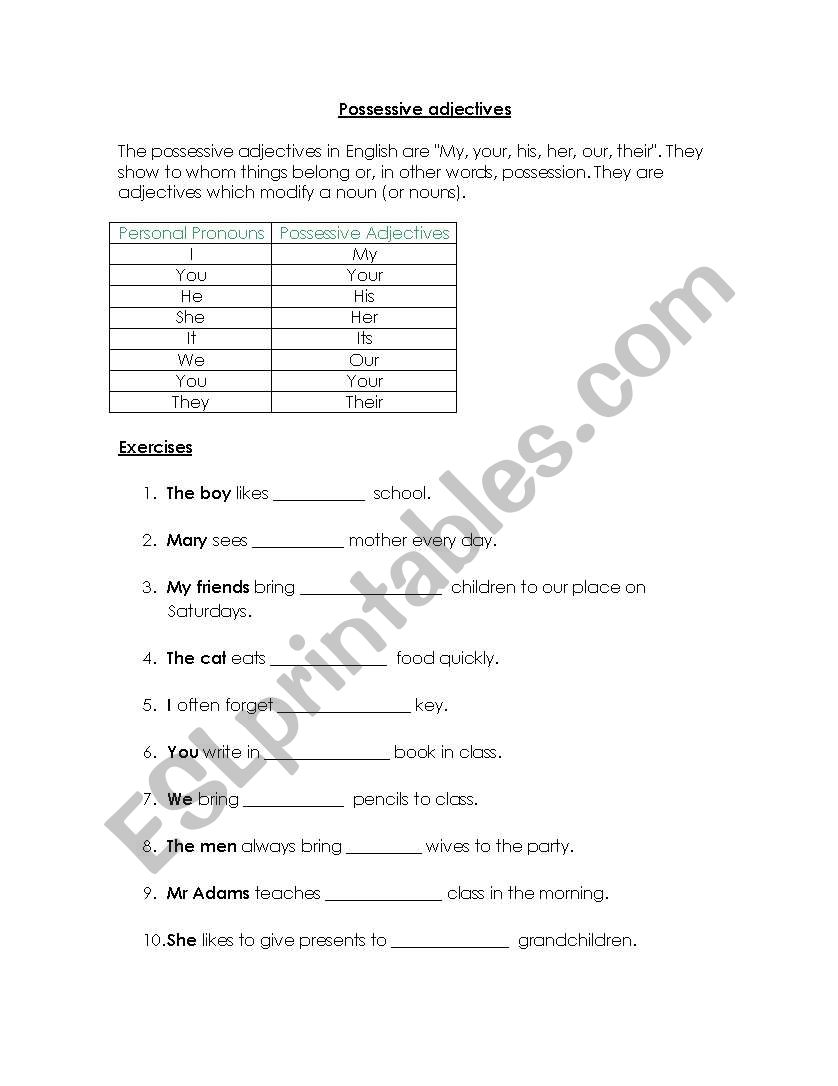 possessive adjectives worksheet