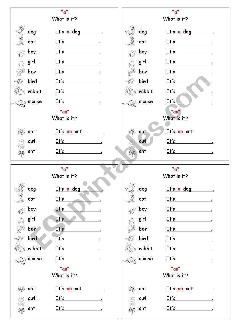 prepositions a an worksheet