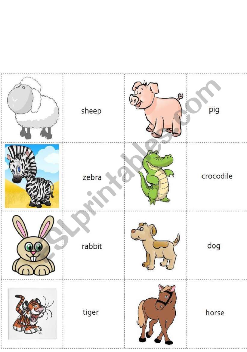 Animal flashcards 2 worksheet