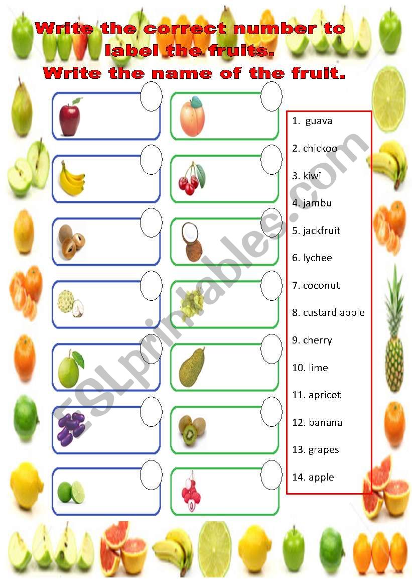 Fruits Matching and Labeling worksheet