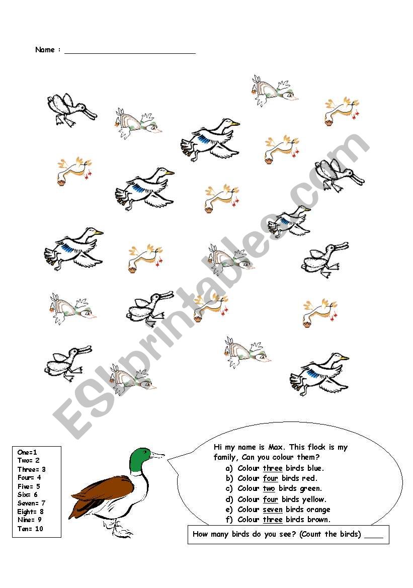 Colour the Ducks worksheet