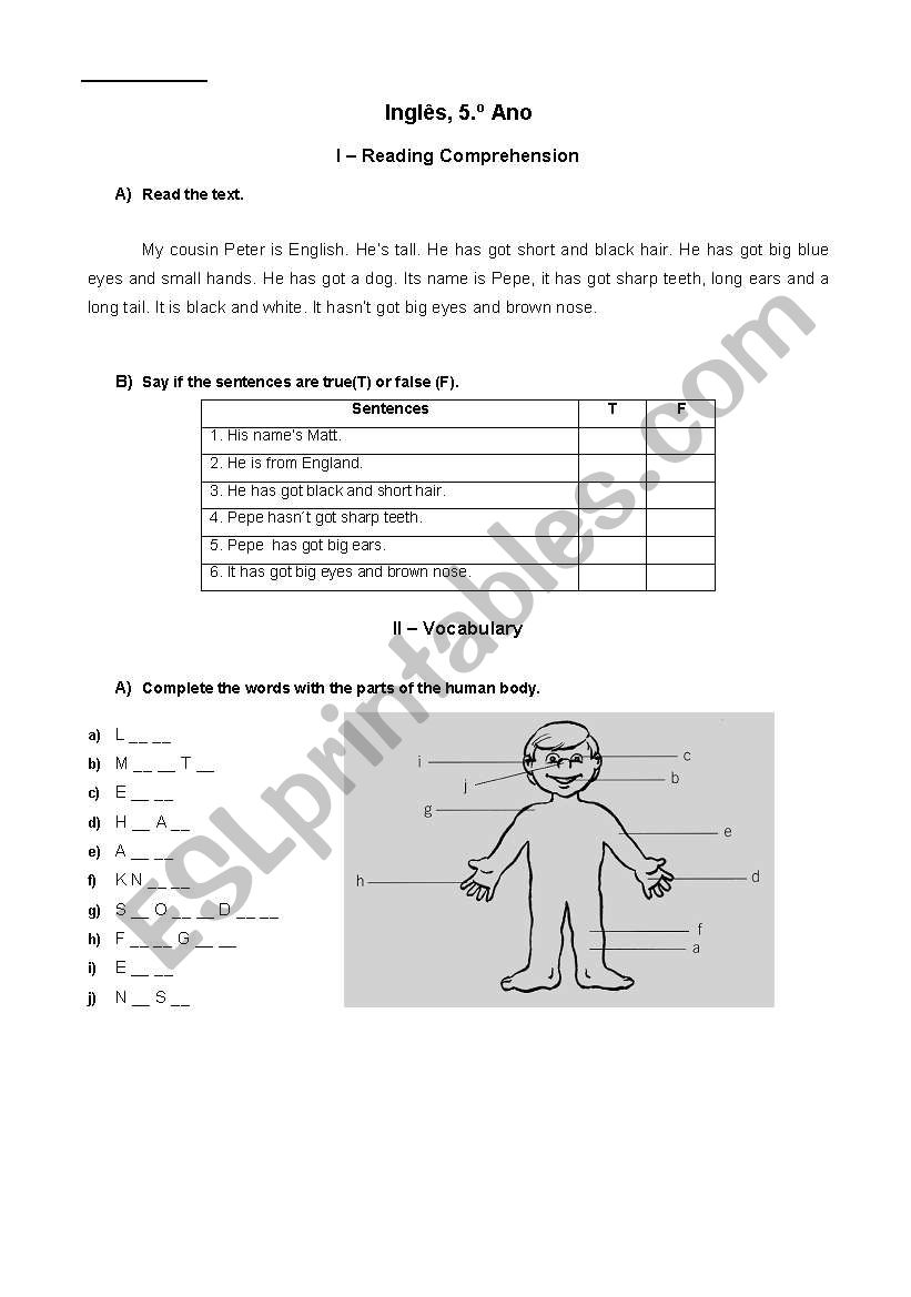 english 5th year worksheet