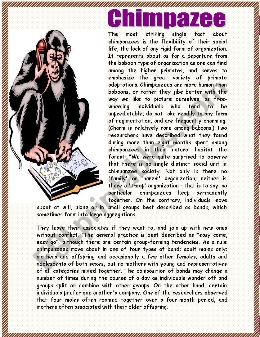 Reading-chimpazee worksheet