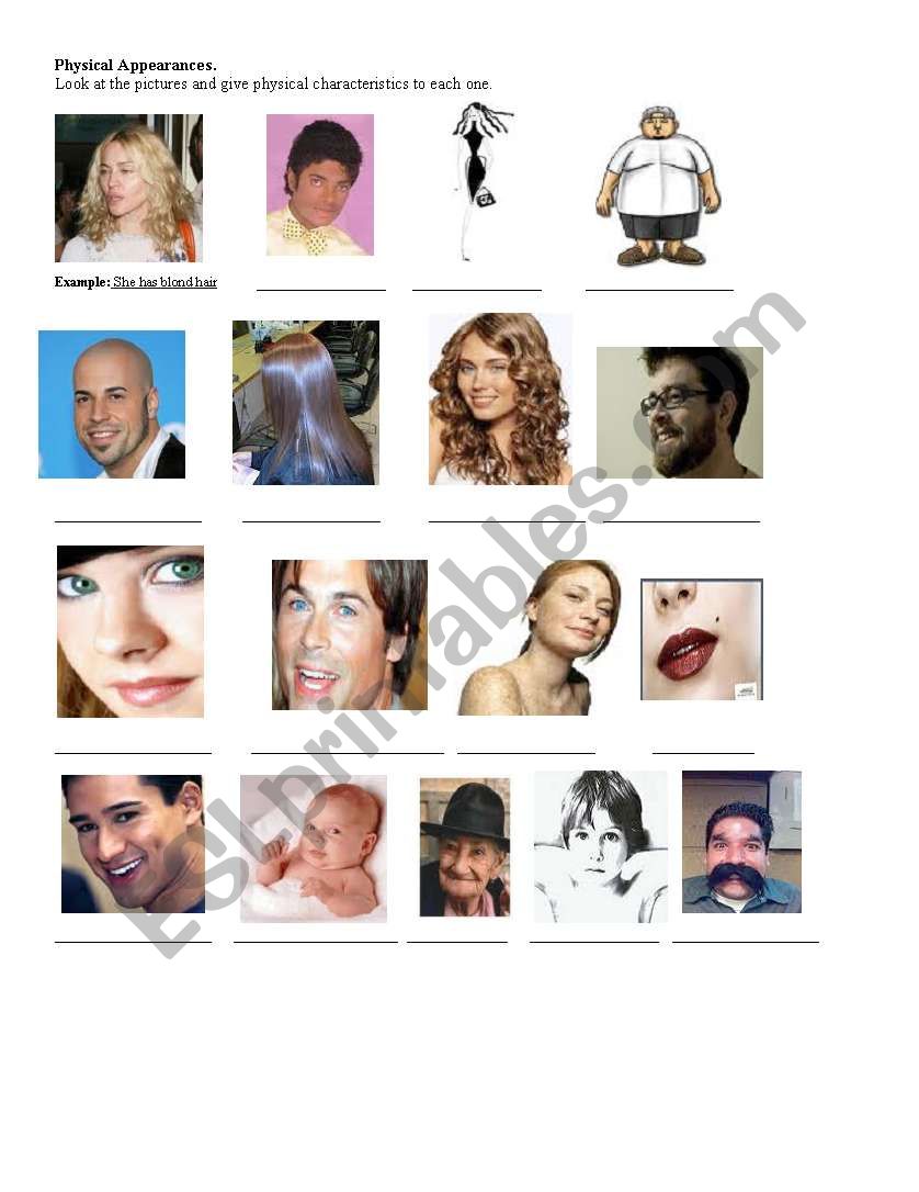 Physical Appearances worksheet