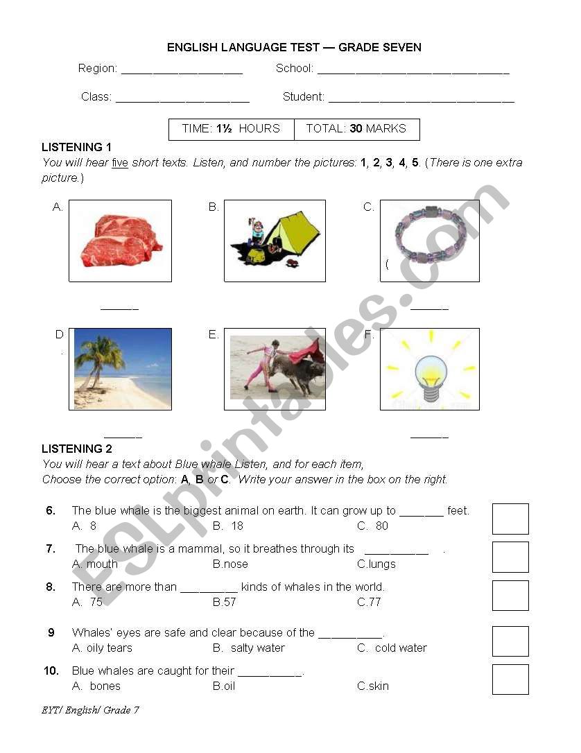 exam for grade 7 worksheet