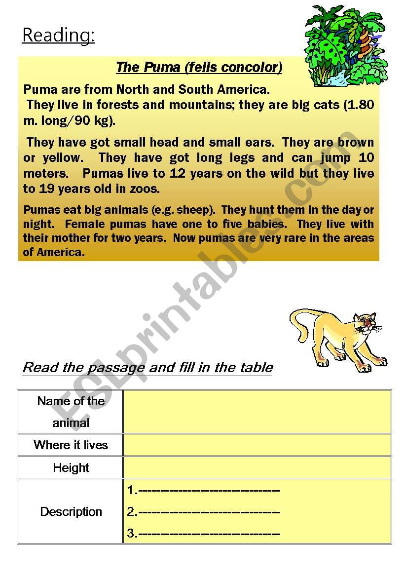 PUMA - animal reading worksheet