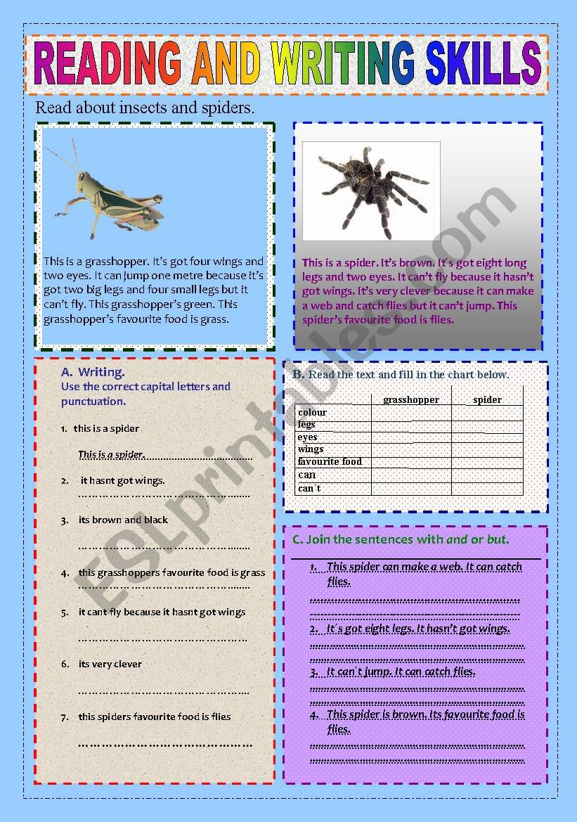 Reading and writing skills worksheet