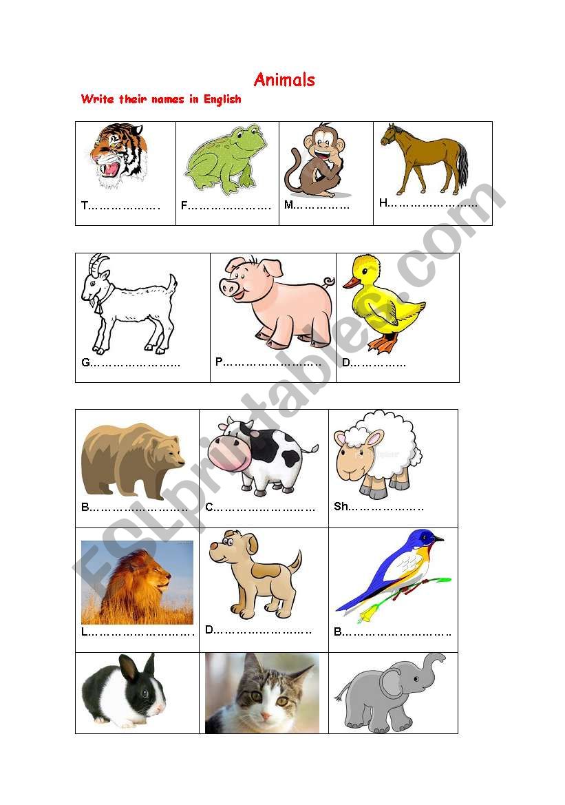 Animals worksheet