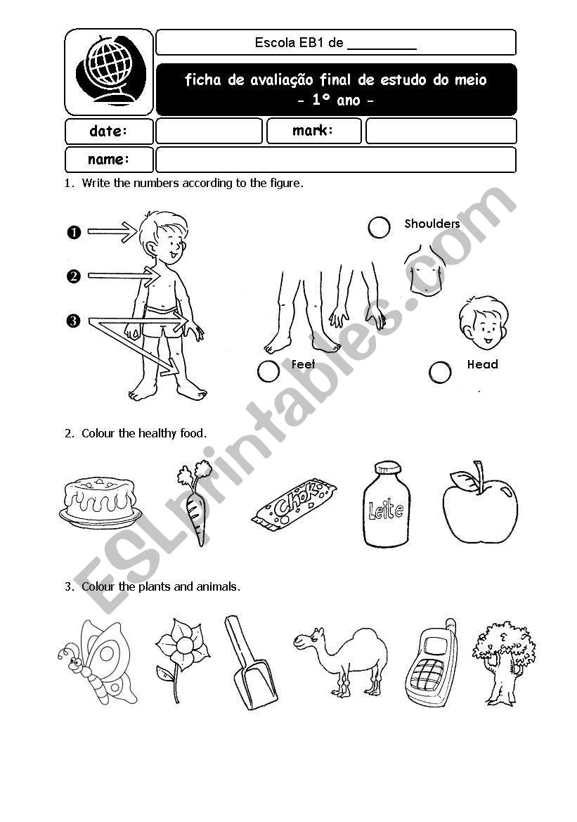 Body Parts and Food worksheet