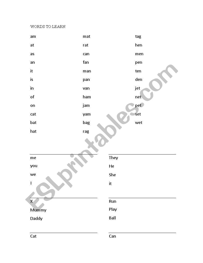 SPELLING WORDS - year 1  worksheet