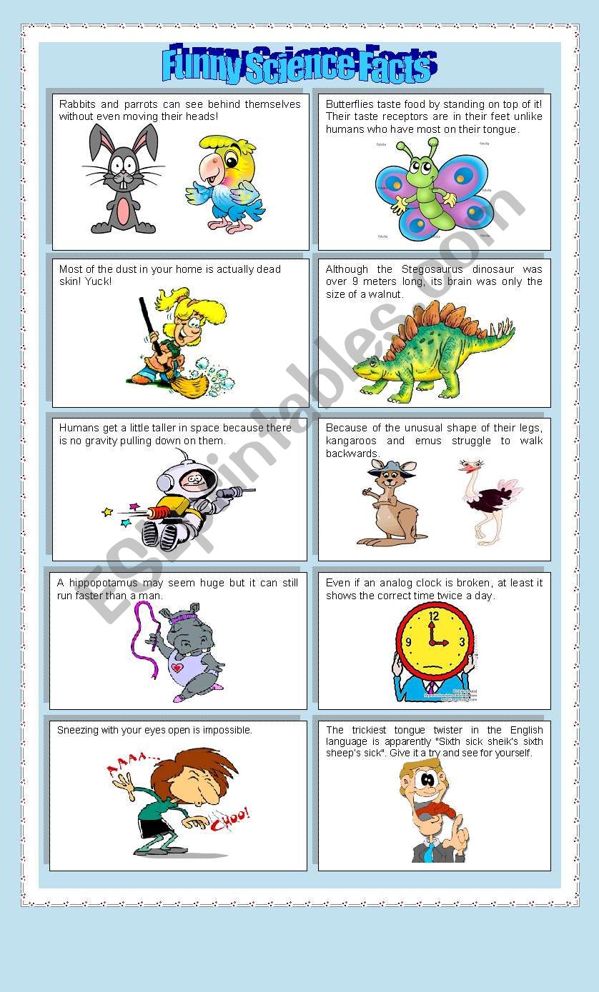 Science Facts for kids worksheet