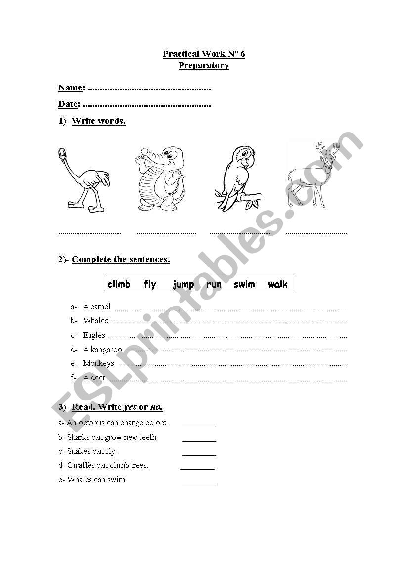 Can/Cant  with animals worksheet