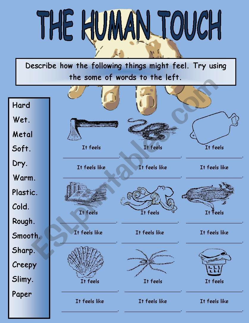 The Human Touch Wksheet#2 worksheet