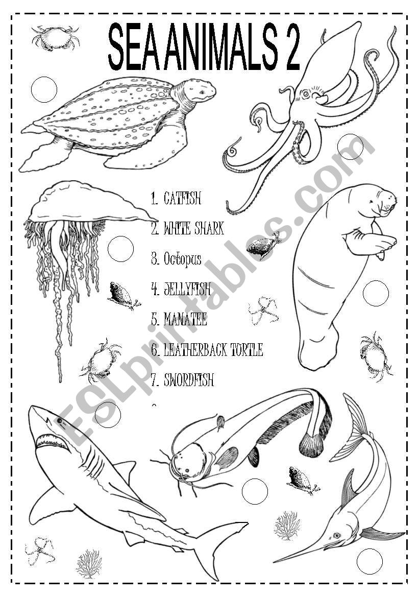 sea animals worksheet