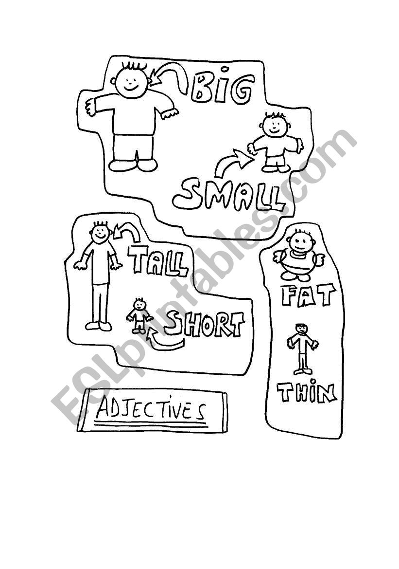 Adjectives: tall/short - nig/small -  fat/thin