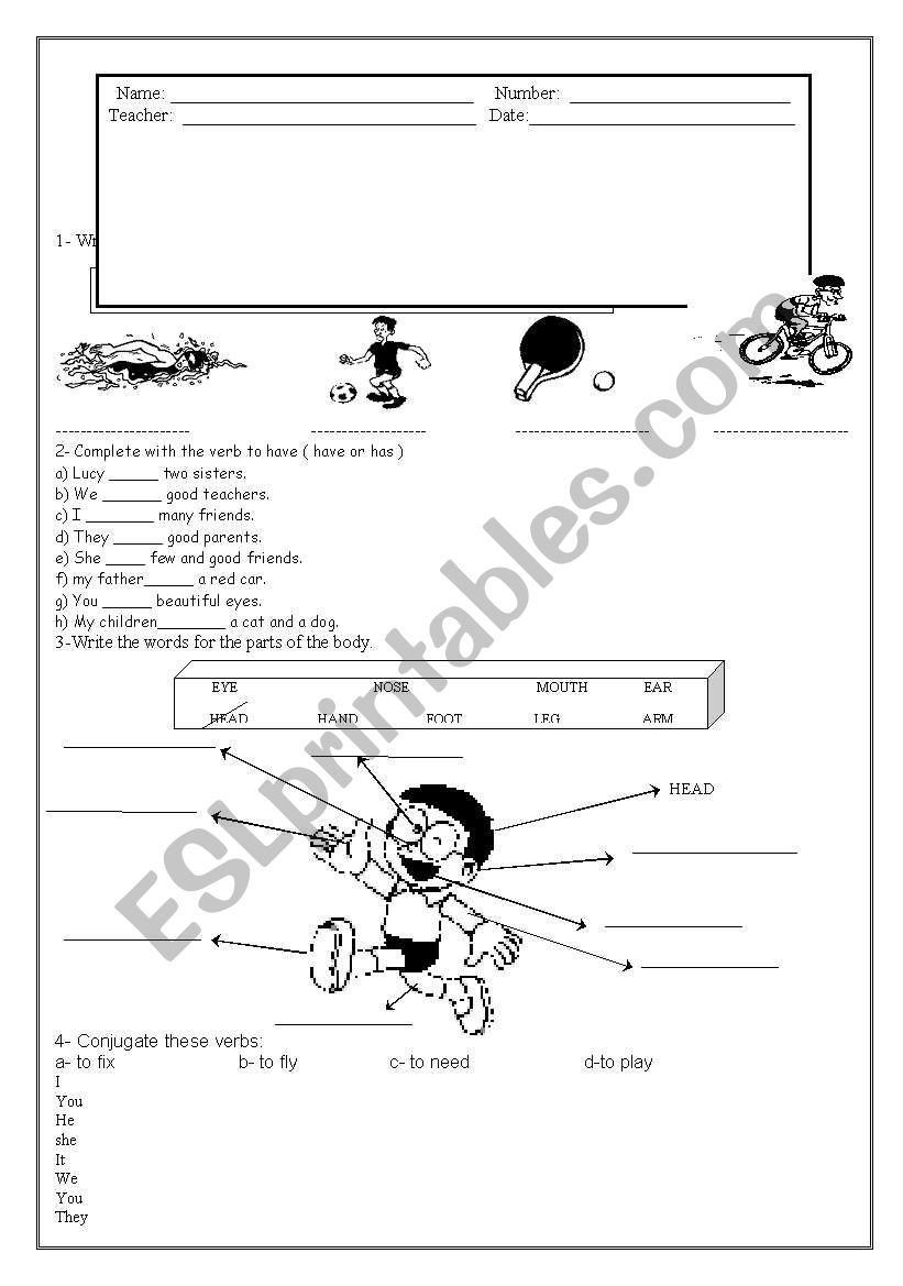 test-sports and body parts worksheet