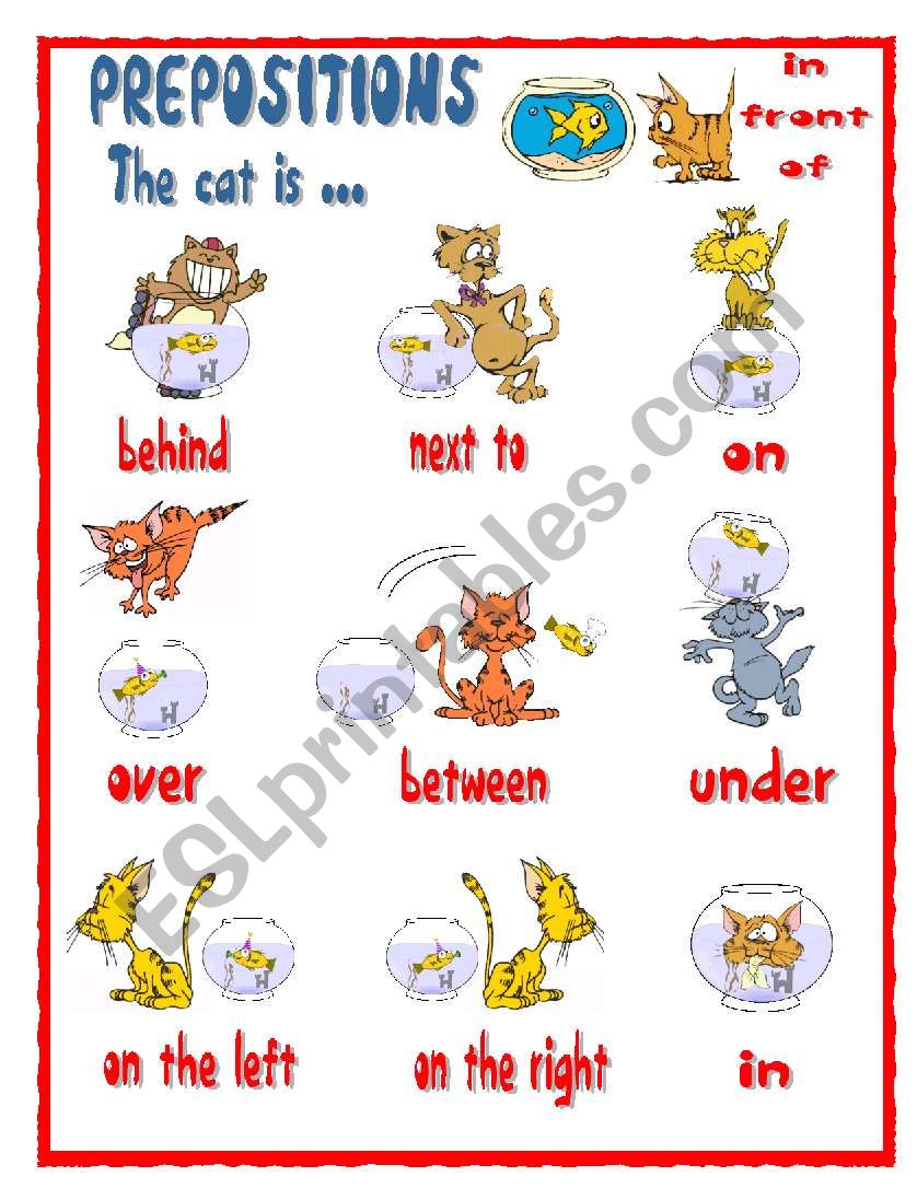 PREPOSITIONS- The cat is ... worksheet