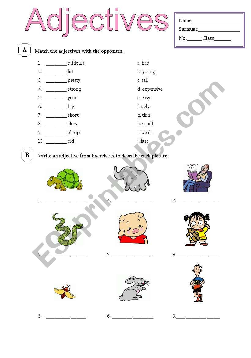 adjective worksheet