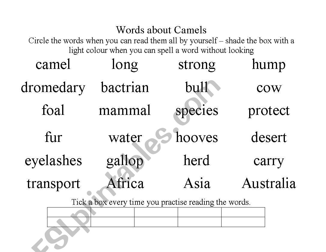 Words about camels worksheet