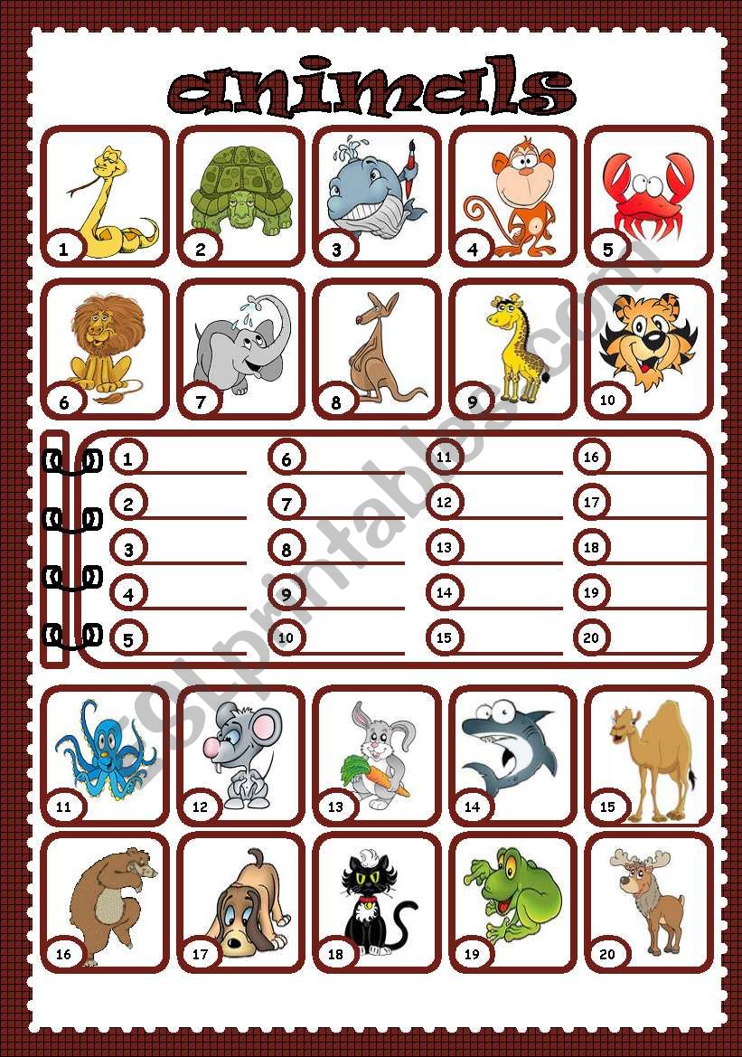 Animals worksheet