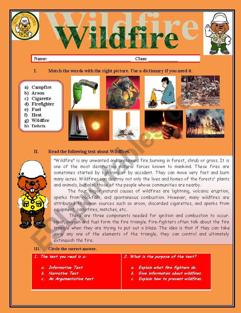 Wildfire worksheet