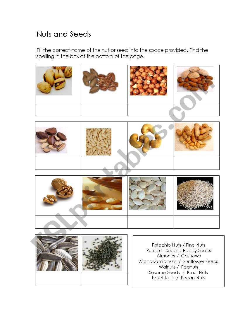 Nuts and seeds worksheet