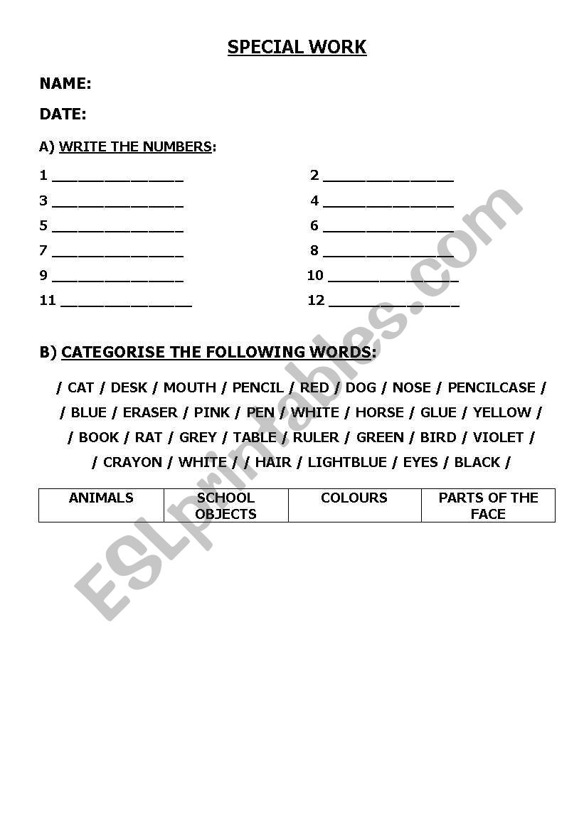 Special work  worksheet