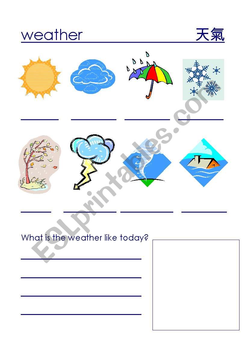 Weather Worksheet worksheet