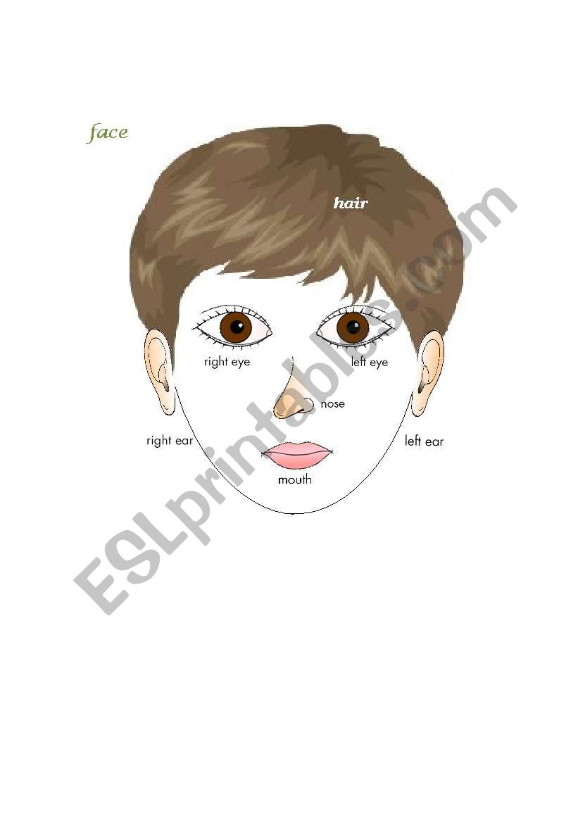 Face worksheet