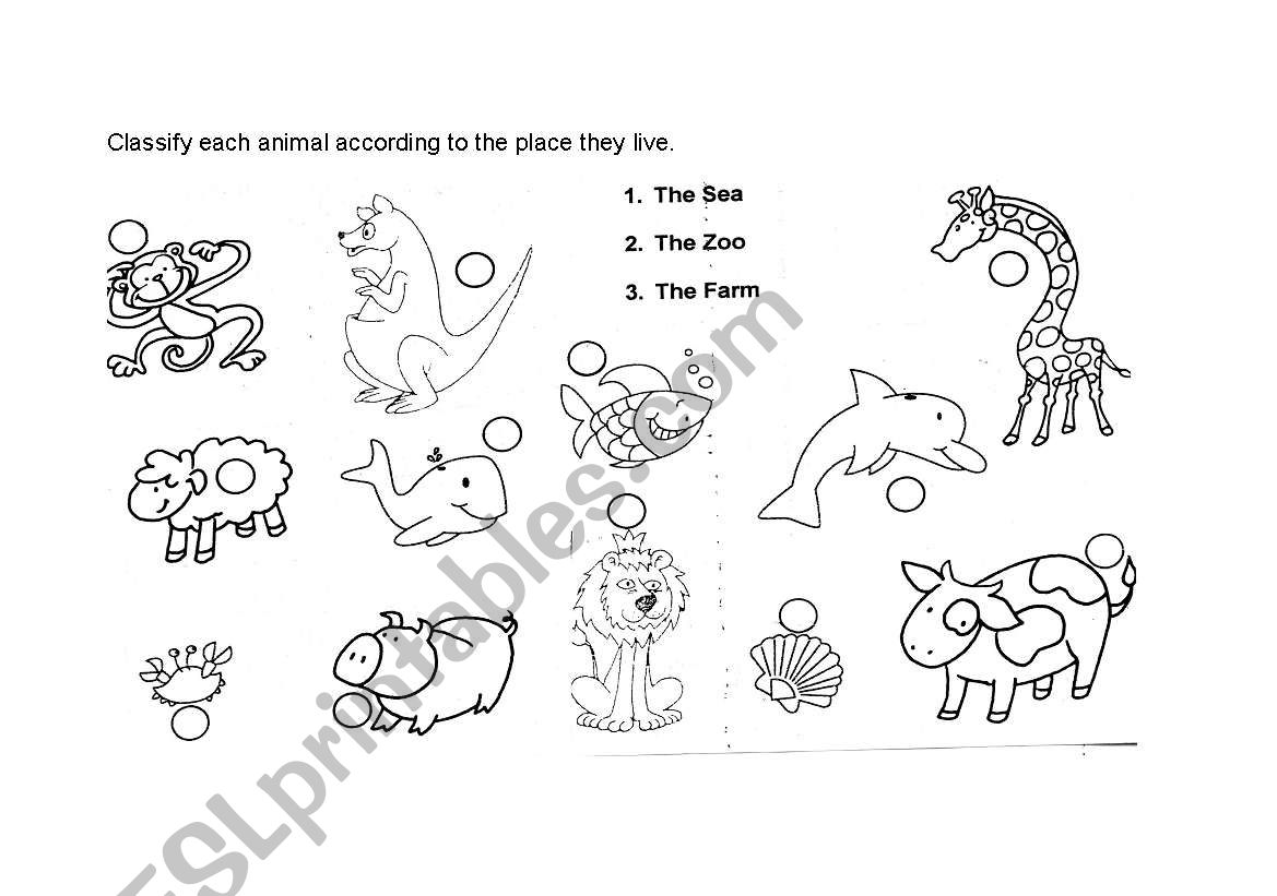 animal types worksheet