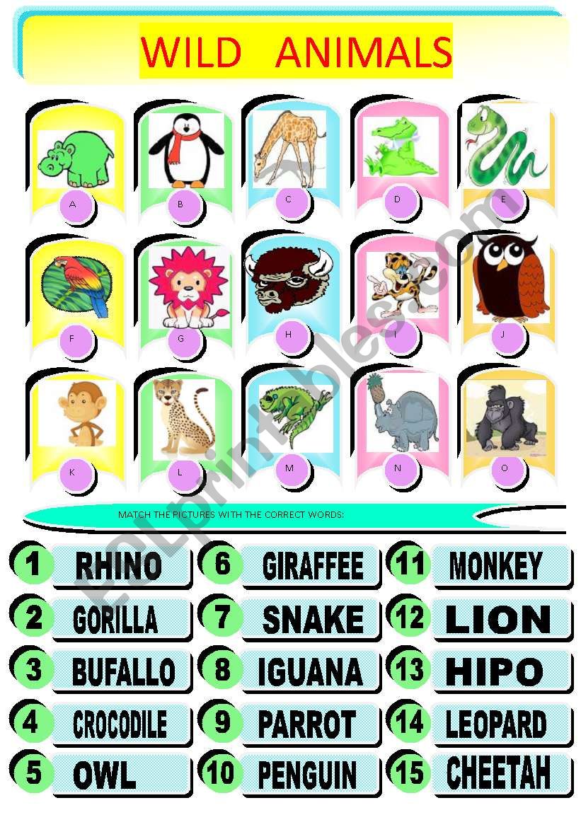 JUNGLE ANIMALS worksheet