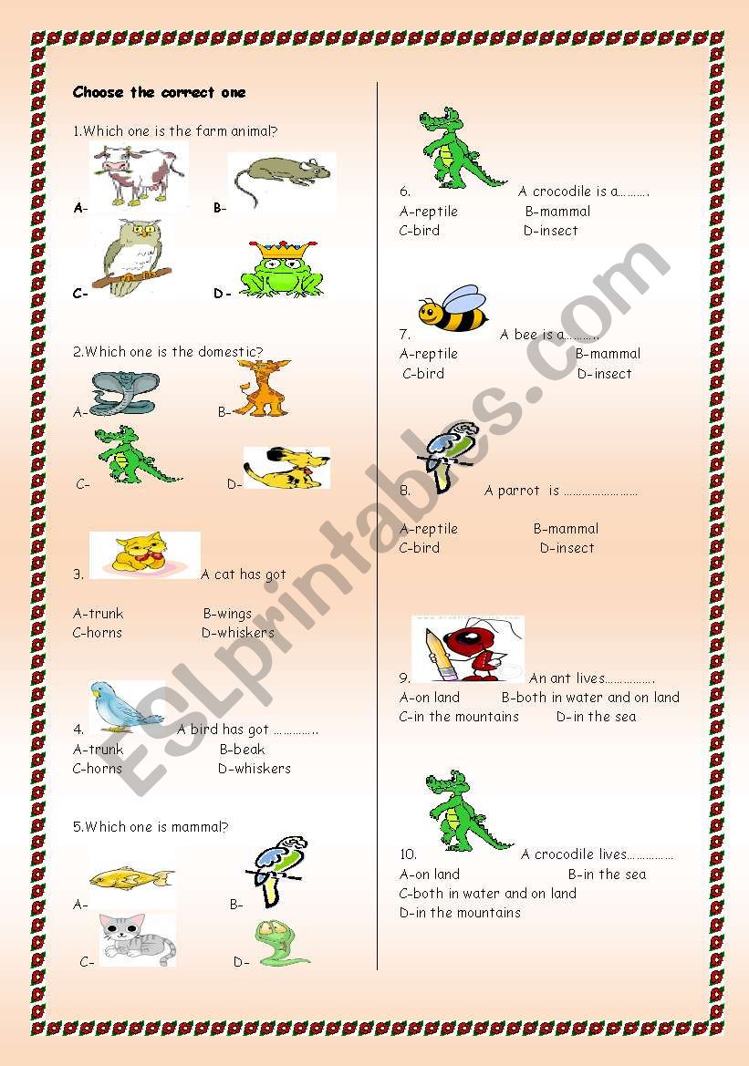 Animal quiz worksheet