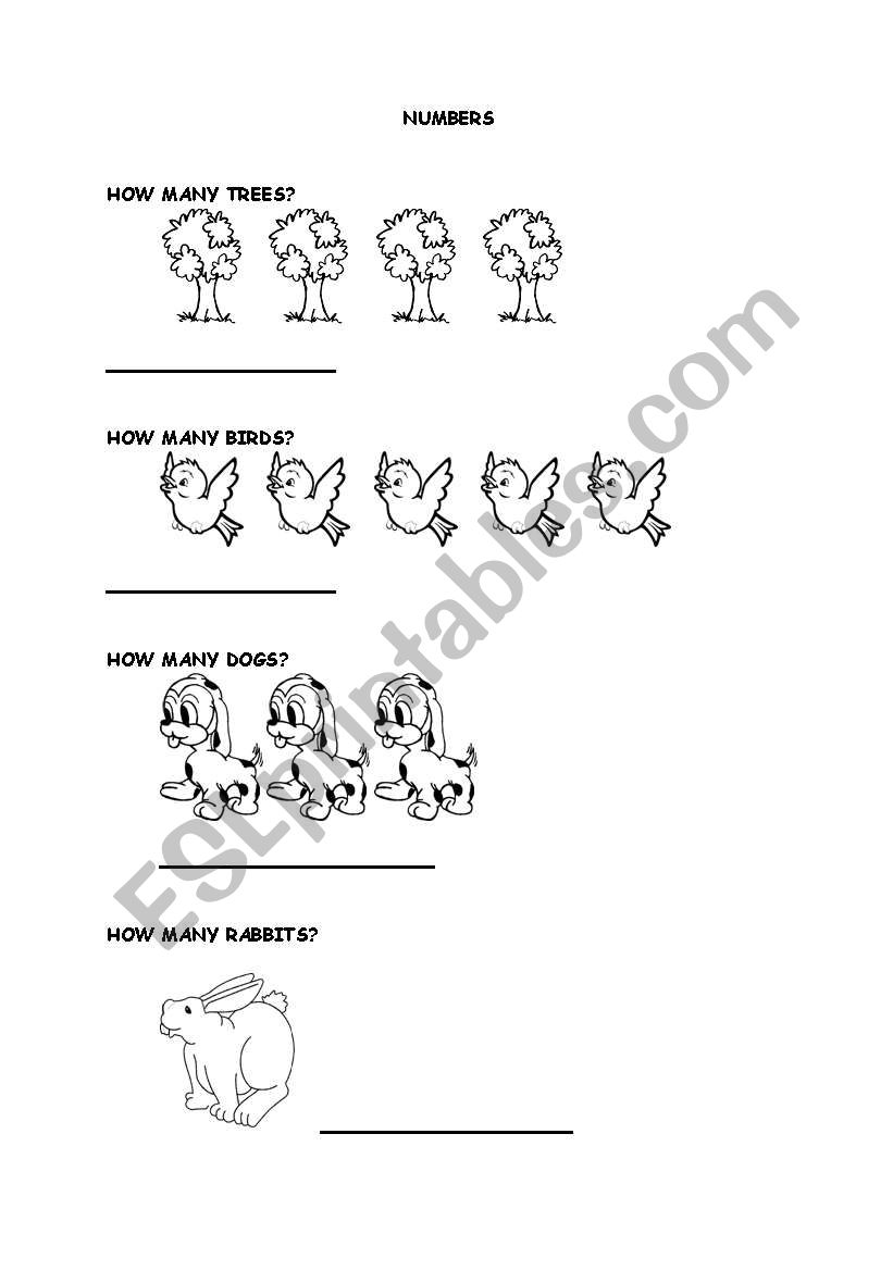 numbers worksheet