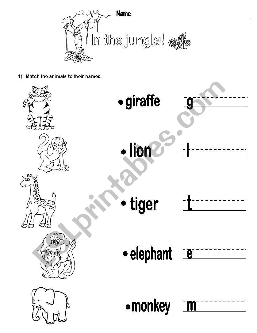 In the jungle worksheet