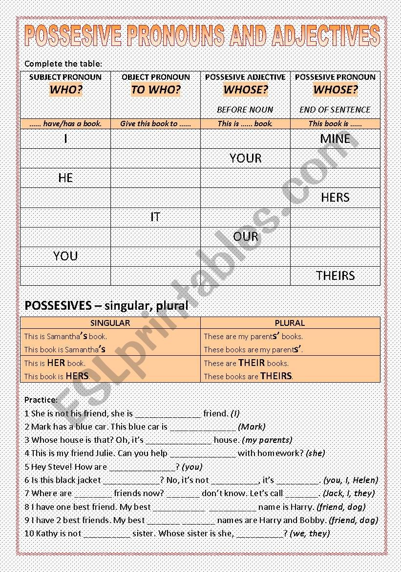 Possessives worksheet