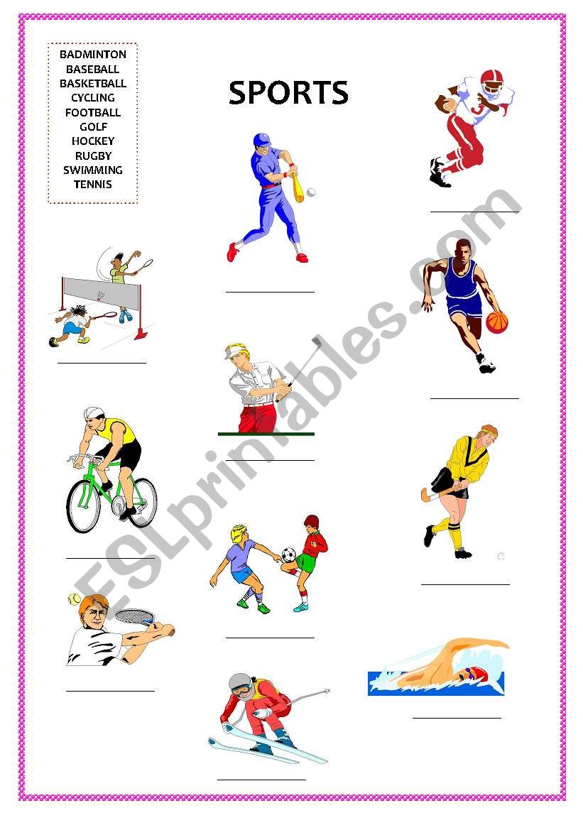 Sports  worksheet