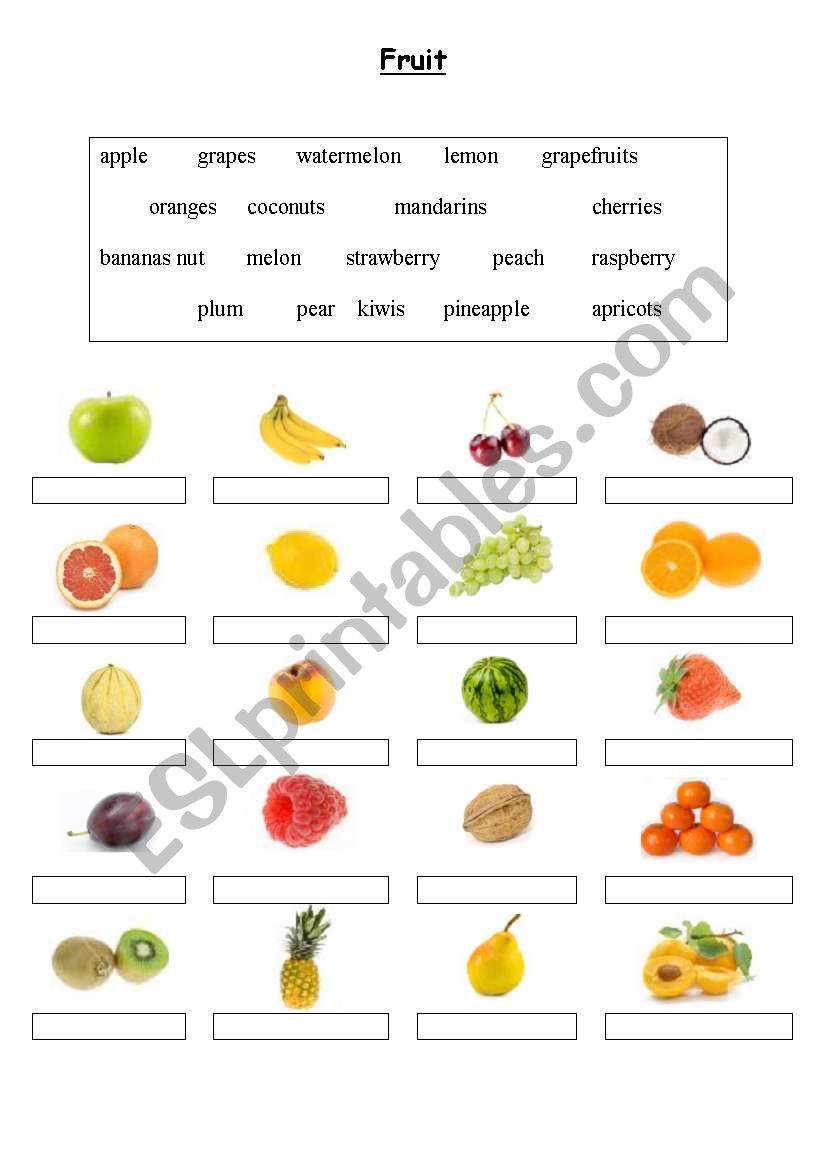 Fruit - Matching worksheet