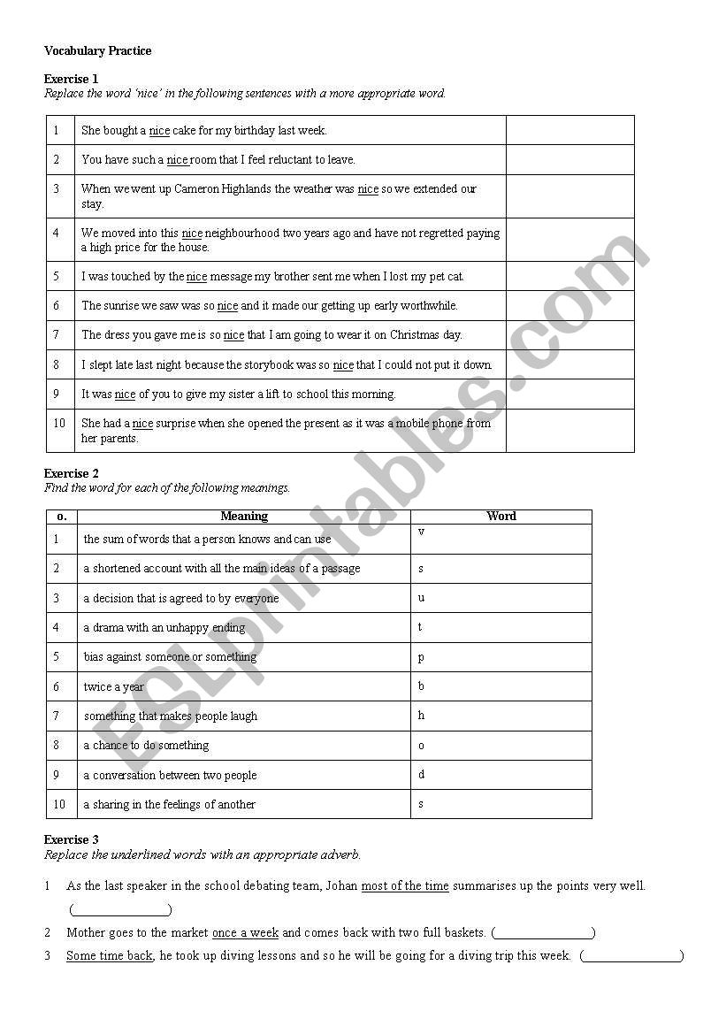 Vocabulary Practice worksheet