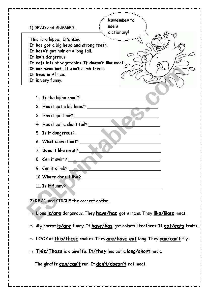 Animal Friends worksheet