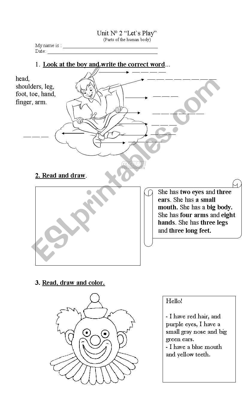 Human body worksheet